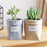 2019 New Letters Print Felt Flower Pots Home Desktop Flowerpot